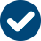 icon checkmark blue